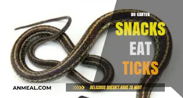 Do Garter Snakes Feast on Ticks? Unveiling the Truth