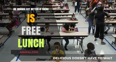 Fuel for Thought: The Impact of Free Lunch on Academic Performance