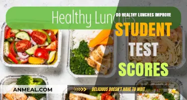 Boosting Brains with Nutrition: The Impact of Healthy Lunches on Student Test Scores