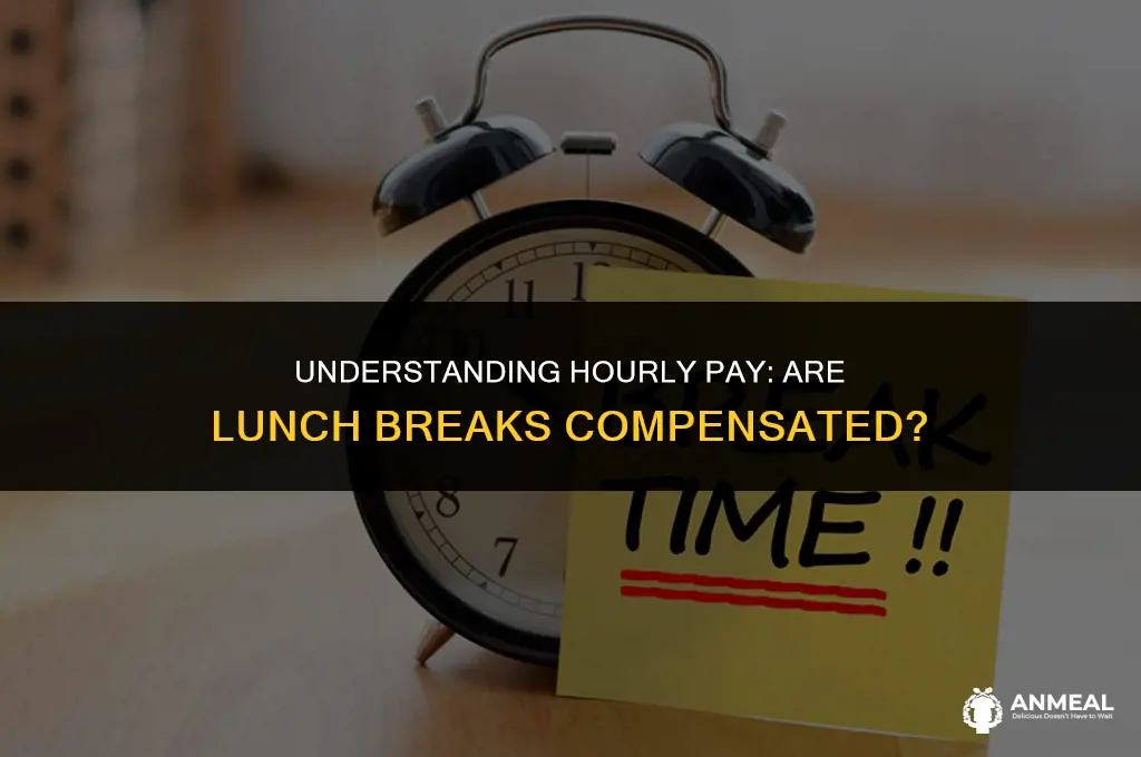 do hourly employees get paid for lunch
