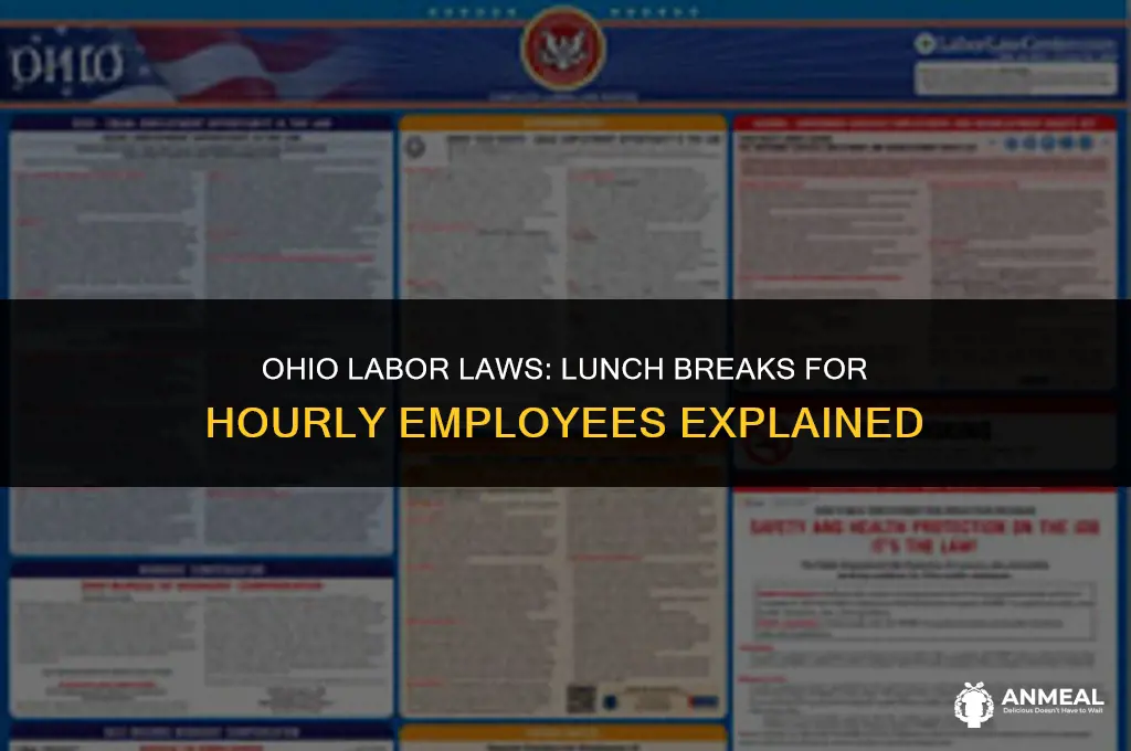 do hourly employees have to take a lunch ohio