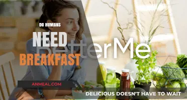 Breakfast Debate: Essential Morning Fuel or Optional Daily Habit?