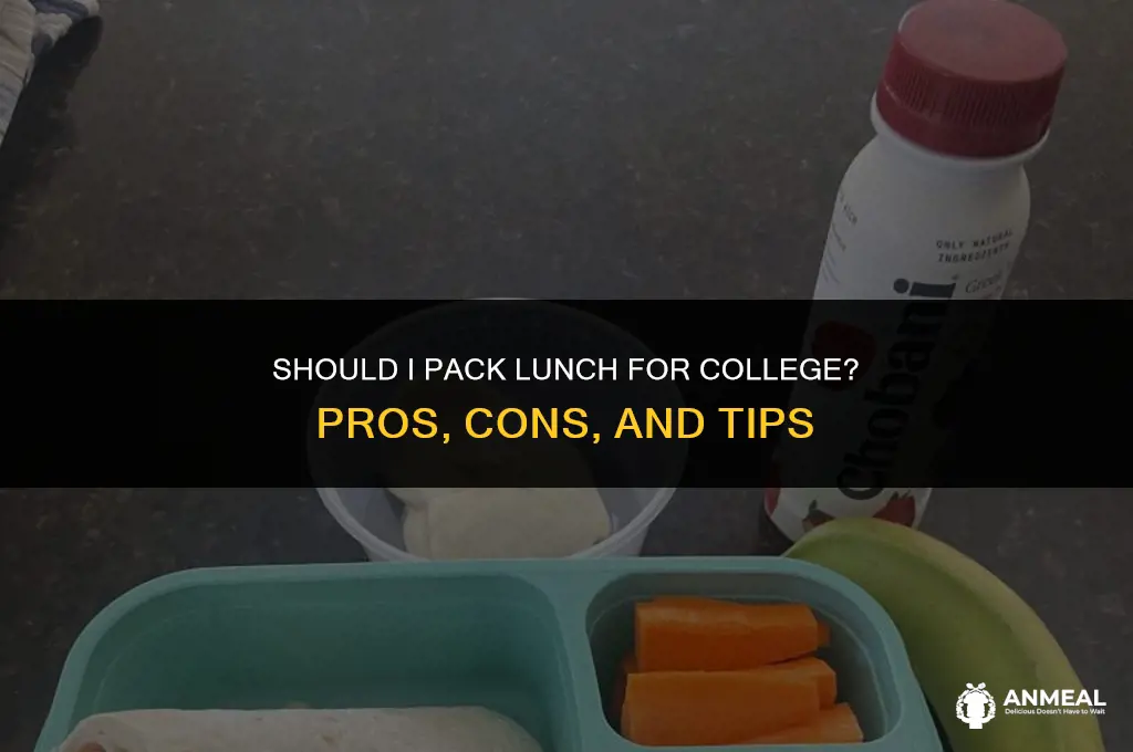 do i bring lunch to college