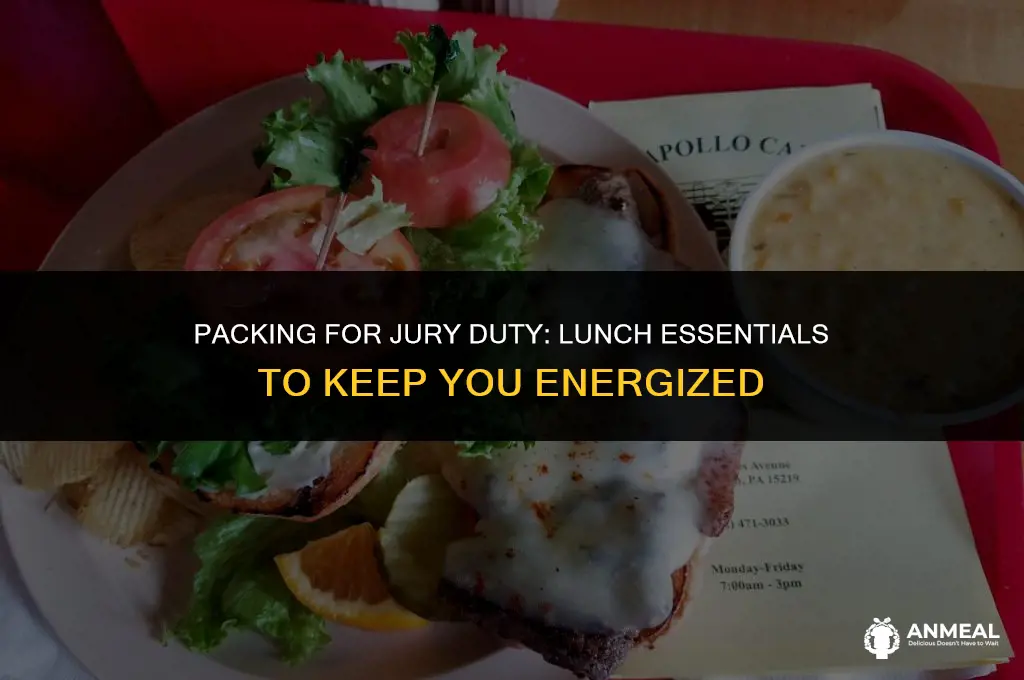 do i bring lunch to jury duty