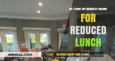 Navigating Disability Income and Reduced Lunch Eligibility: A Guide