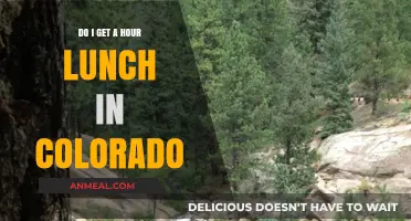 Colorado Lunch Laws: Understanding Your Hourly Break Entitlement