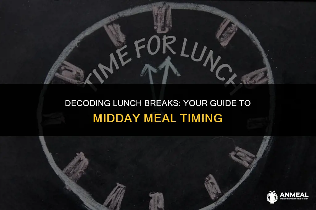 do i get a lunch at 6 hours