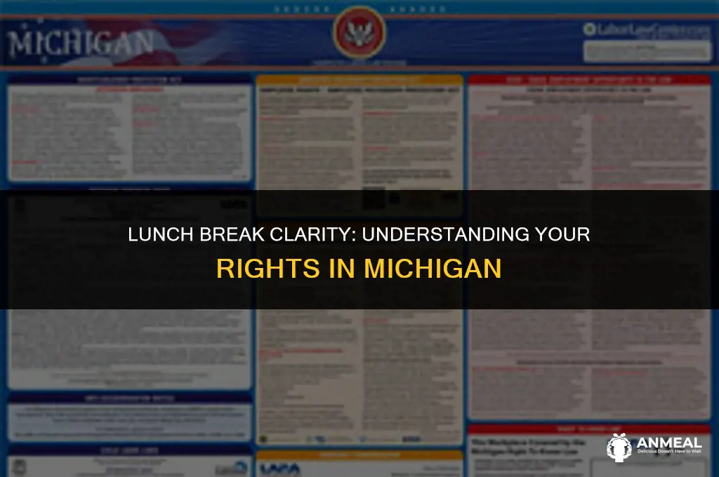 do i get a lunch if i work in mi