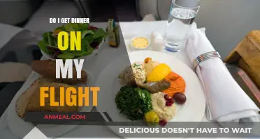 In-Flight Dining: What to Expect for Your Mid-Air Meal