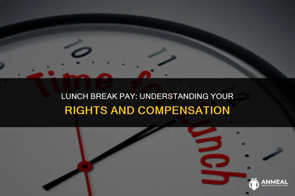 do i get paid for lunch
