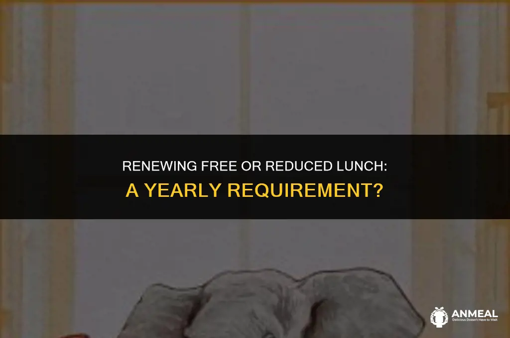 do i have to apply for free reduced lunch again