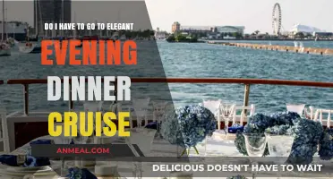 Should You Attend an Elegant Evening Dinner Cruise? Pros and Cons