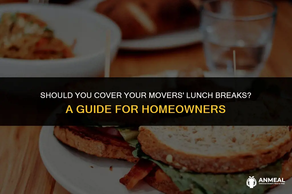 do i have to pay my movers for lunch