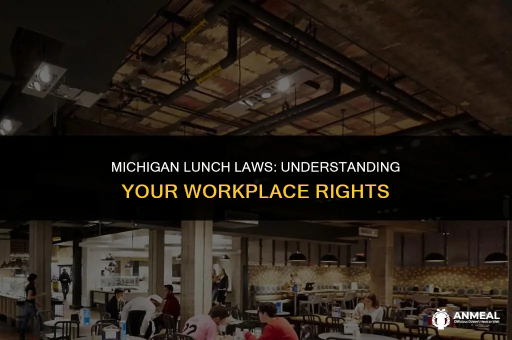 do i have to take a lunch in michigan