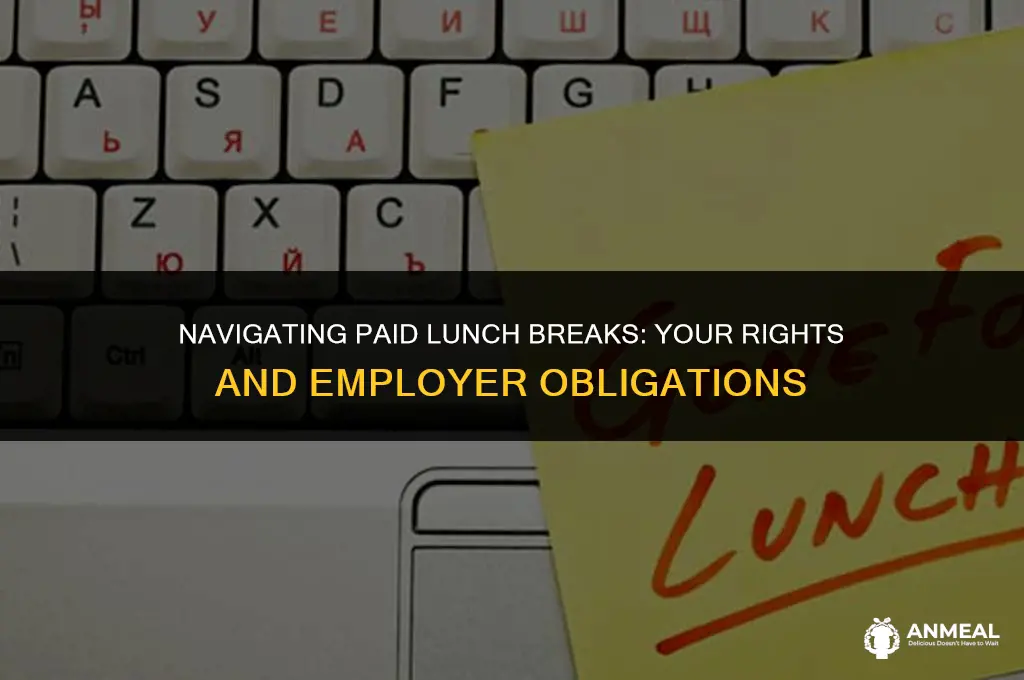 do i have to work through my paid lunch