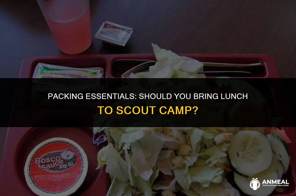 do i need a lunch for scout camp