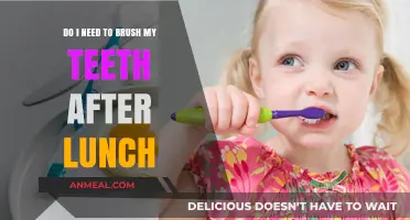 Post-Lunch Dental Care: To Brush or Not to Brush?