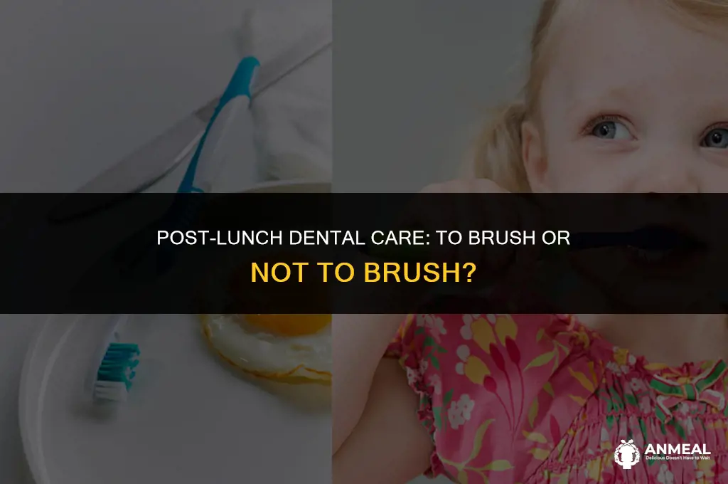 do i need to brush my teeth after lunch