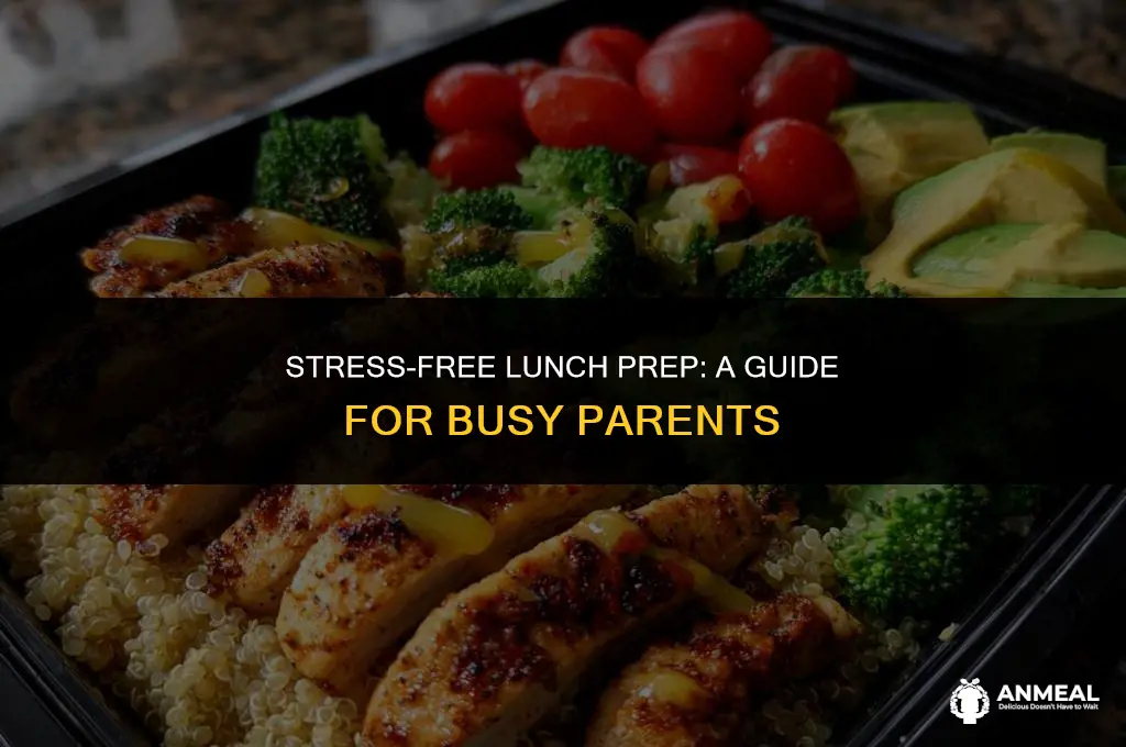 do i need to prepare lunch for kid