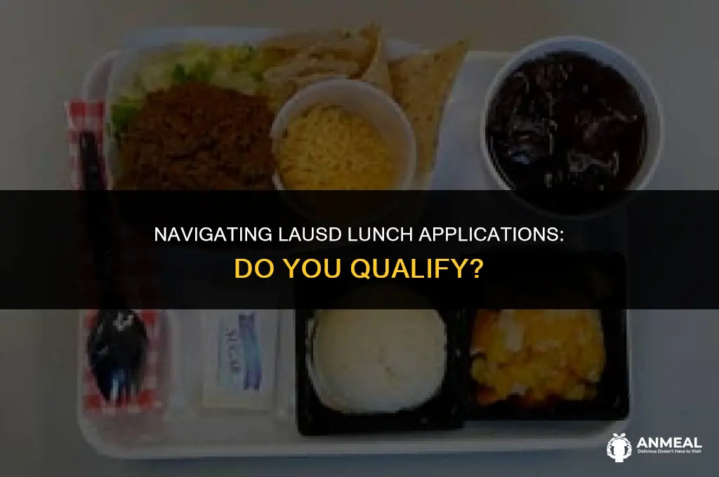 do i qualifgy for lunch application lausd