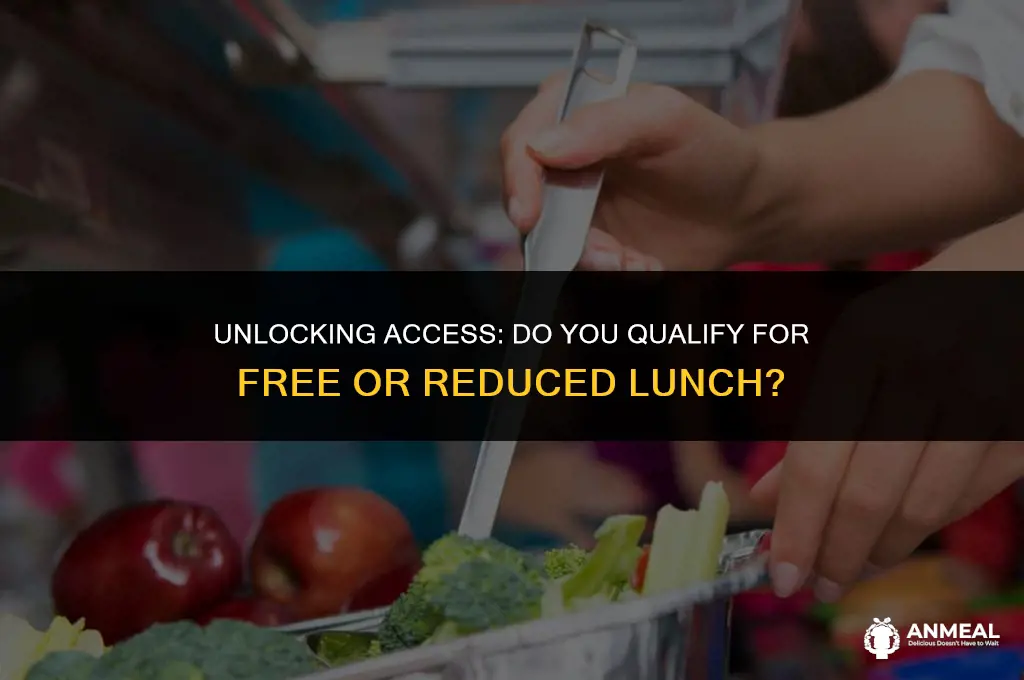 do i qualify for free and reduced lunch