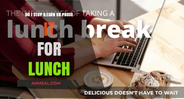 Balancing Breaks: Should You Pause or Stop Your iLearn Session for Lunch?