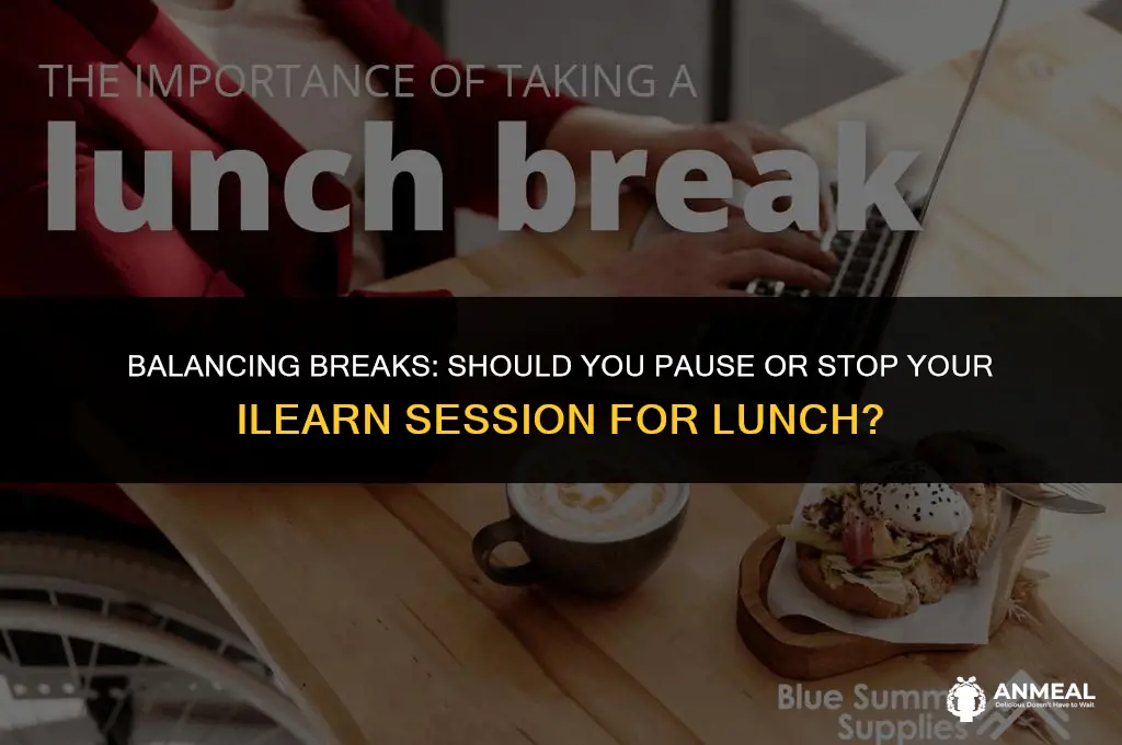 do i stop ilearn or pause it for lunch
