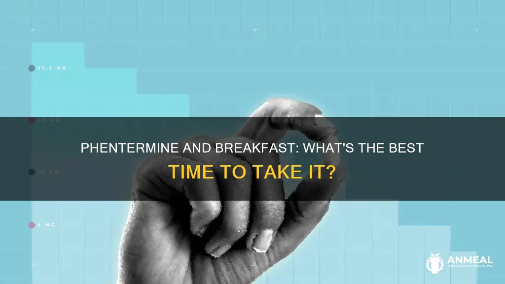do i take phentermine before or after breakfast