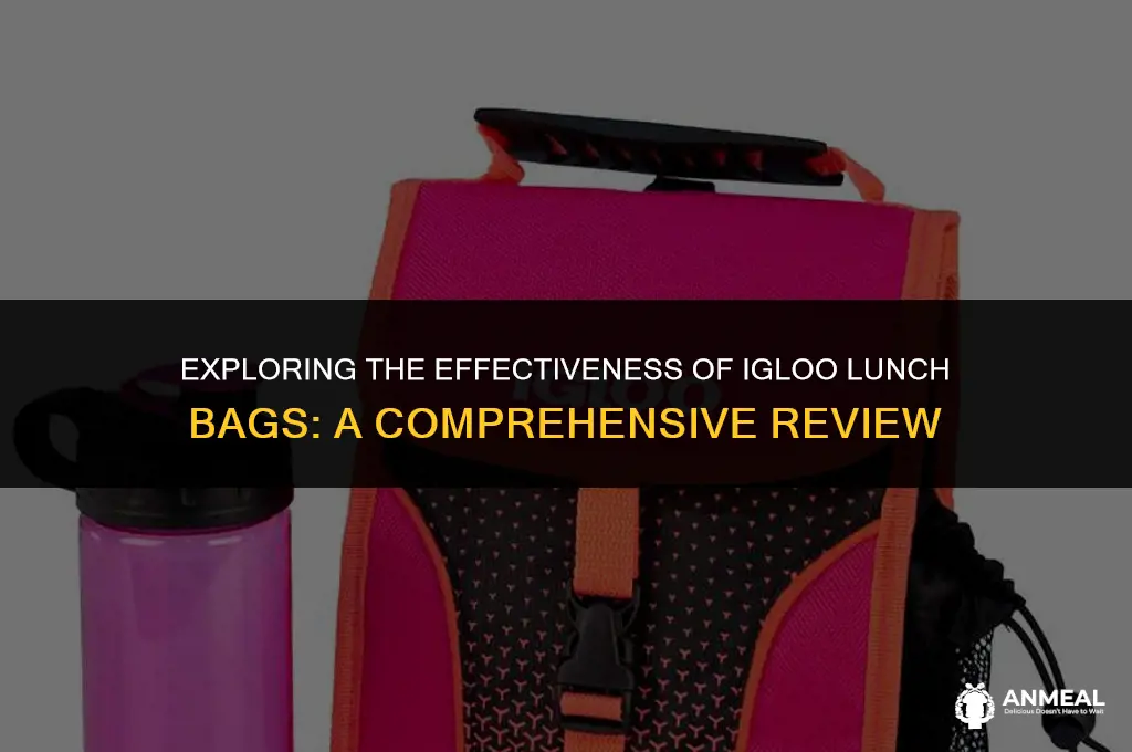 do igloo lunch bags really work