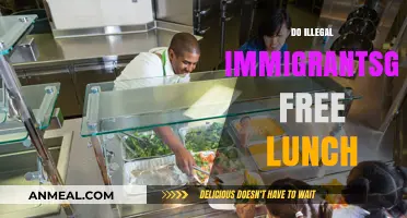 Dispelling Myths: The Truth About Illegal Immigrants and Free Lunch Programs