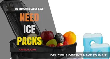 Keeping Lunch Cool: The Ice Pack Dilemma for Insulated Bags