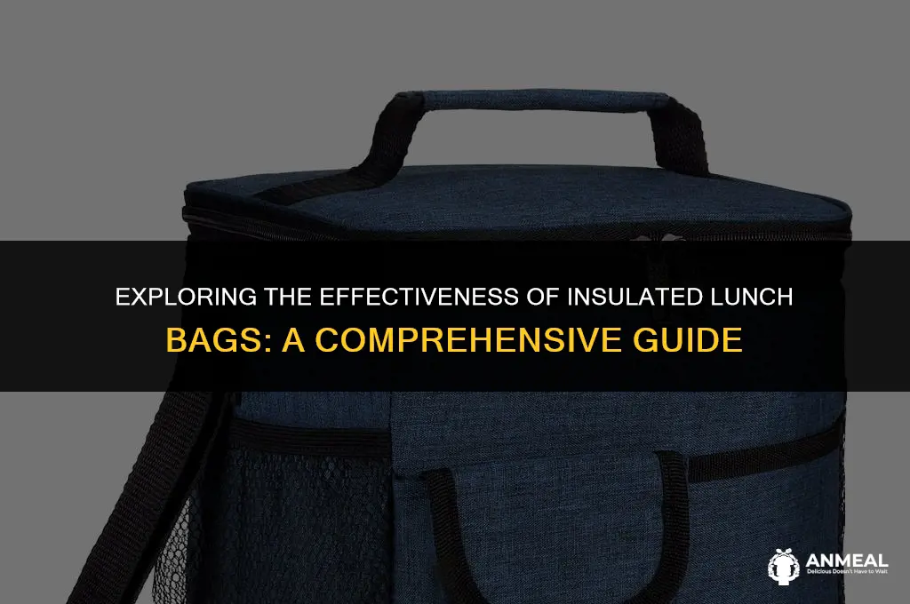 do insulated lunch bags work