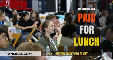 Lunch Break or Paid Hour? Understanding Intern Compensation Policies