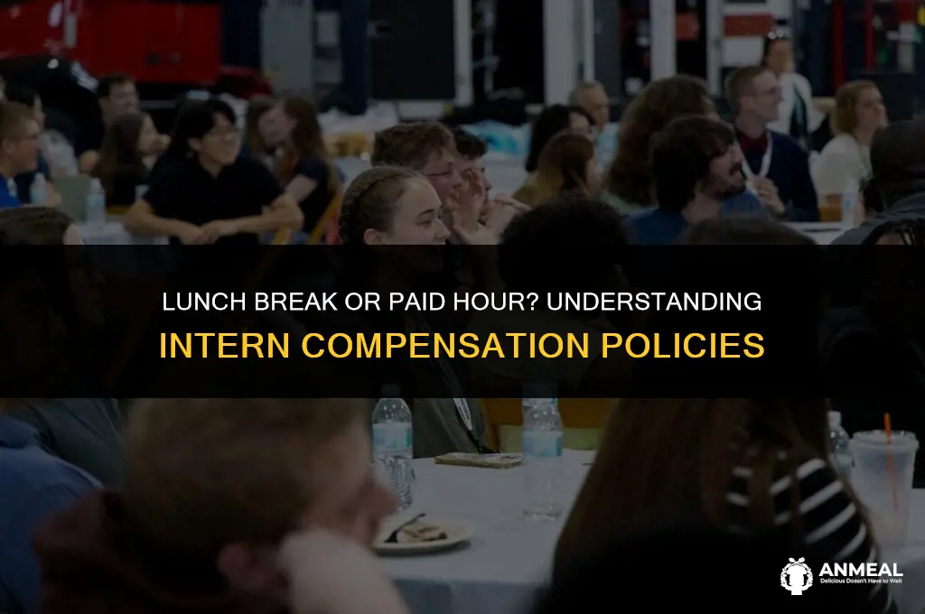 do interns get paid for lunch
