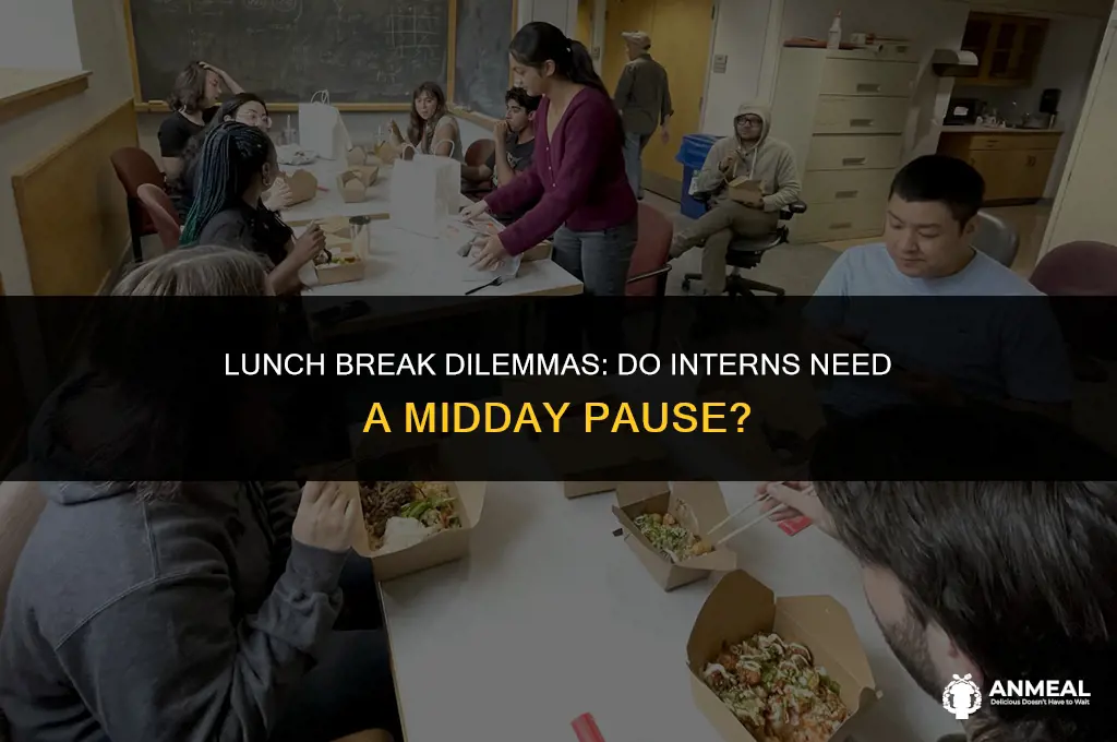 do interns need to take a lunch