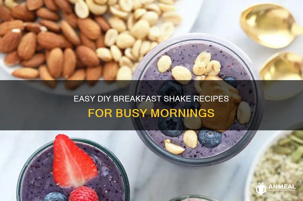 do it yourself breakfast shake