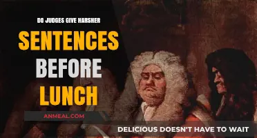 Judicial Hunger: Do Judges Hand Down Harsher Sentences Before Lunch?