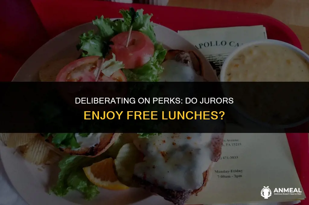 do jurors get free lunch