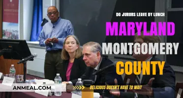 Juror Dismissal Trends in Maryland's Montgomery County: Lunch Break Insights