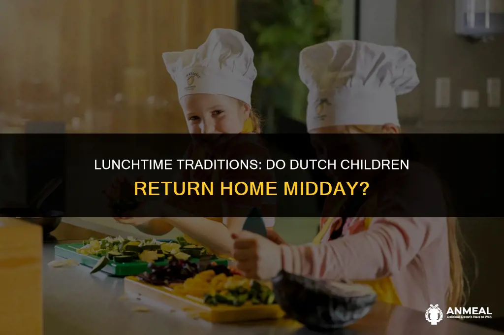 do kids come home for lunch in holland