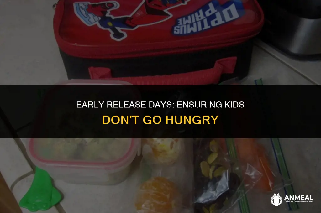 do kids get lunch on early release days