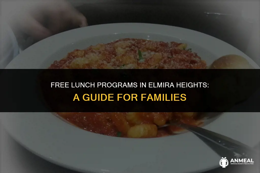 do kids in elmira heights get free lunch