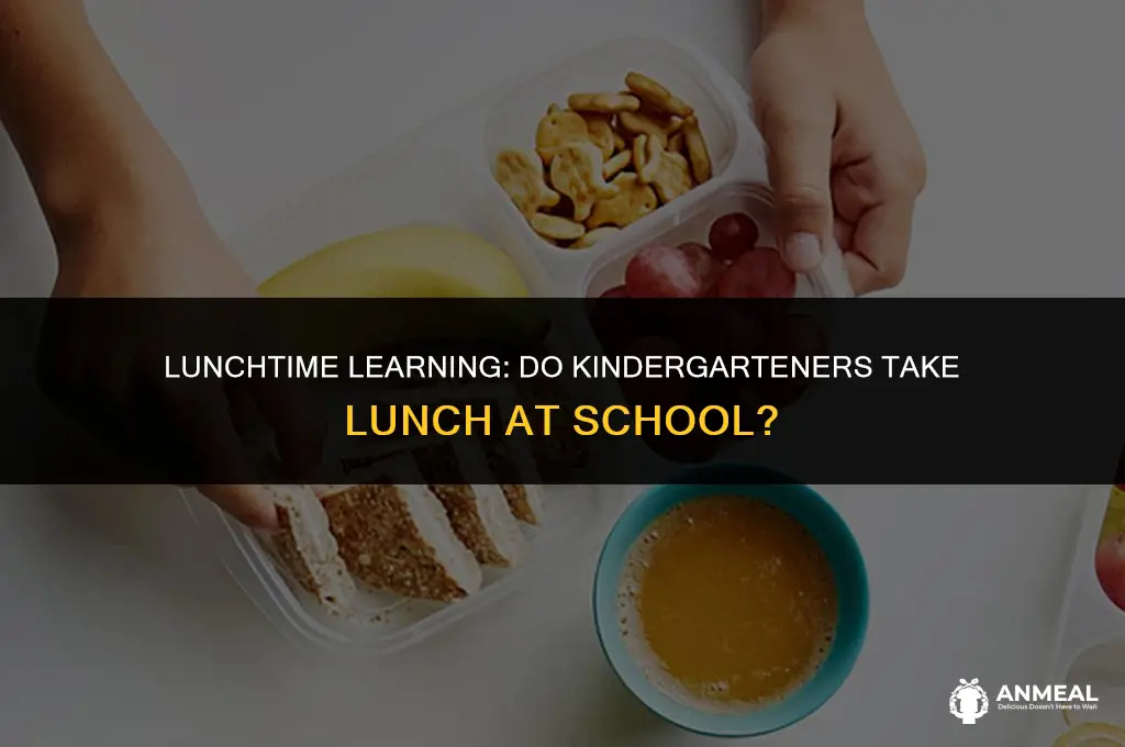 do kindergarteners take lunch