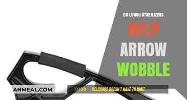 Exploring the Impact of Lunch Stabilizers on Arrow Wobble