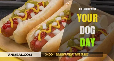 Paws and Munch: Celebrating Do Lunch with Your Dog Day