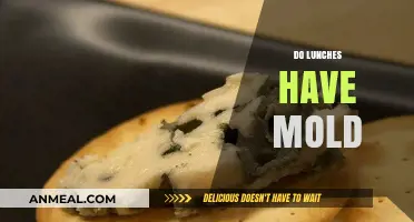 Unveiling the Truth: Mold in Lunches and How to Avoid It