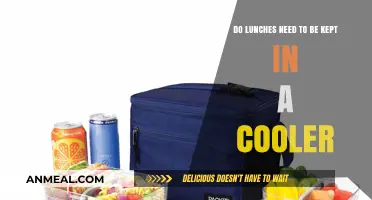 Keep Your Lunch Fresh: The Cooler Conundrum Explained