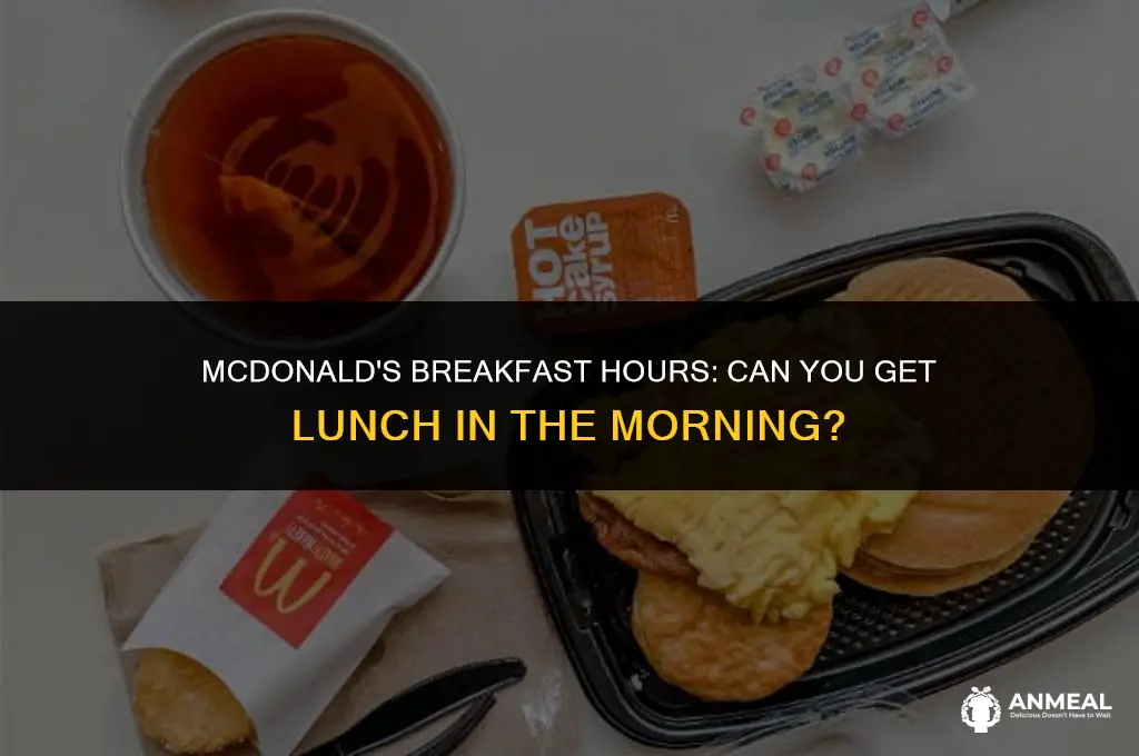 do mcdonald offer lunch in the morning