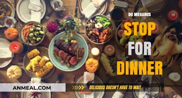 Megabus Dinner Stops: What to Expect on Long-Distance Trips