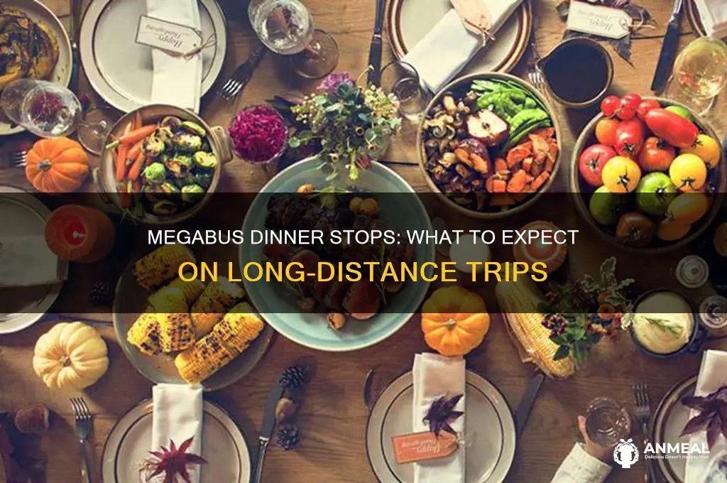 do megabus stop for dinner